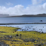 Les modèles climatiques à haute résolution révèlent comment les températures de la mer de Tasman peuvent influencer le réchauffement de la péninsule de l'Antarctique