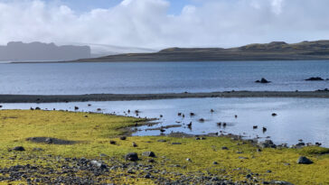Les modèles climatiques à haute résolution révèlent comment les températures de la mer de Tasman peuvent influencer le réchauffement de la péninsule de l'Antarctique