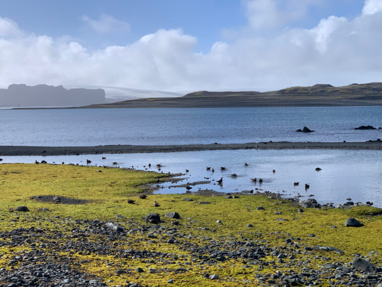 Les modèles climatiques à haute résolution révèlent comment les températures de la mer de Tasman peuvent influencer le réchauffement de la péninsule de l'Antarctique