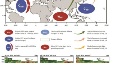 Les modèles principaux et les modèles prédictifs de variations de végétation d'été dans la Sibérie orientale ont révélé