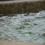 Les motifs de précipitations déclenchés pour déclencher une chaleur humide extrême sous les tropiques et les subtropics