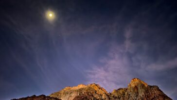 Les parcs publics américains sont en difficulté. Merci encore, Donald Trump.