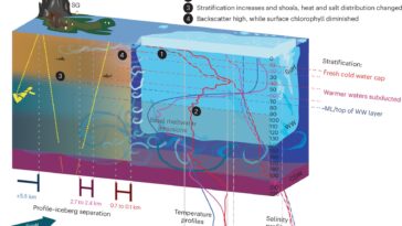 Les plantes robotiques sous-marines fournissent de nouvelles perspectives sur l'impact d'une mégaberg fondante