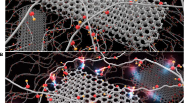Les polymères avec des charges défectueuses augmentent le transfert de chaleur dans les plastiques, révèle l'étude