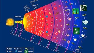 Les ratios d'émission de particules offrent une nouvelle fenêtre sur l'évolution de la matière dans l'univers précoce