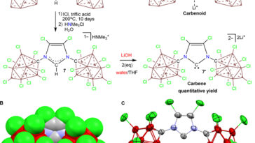 Les scientifiques confirment enfin l'hypothèse de la vitamine B1 de 1958