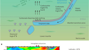 Les scientifiques découvrent que les carbonates de surface peuvent transporter des isotopes de bore lourds dans le manteau profond