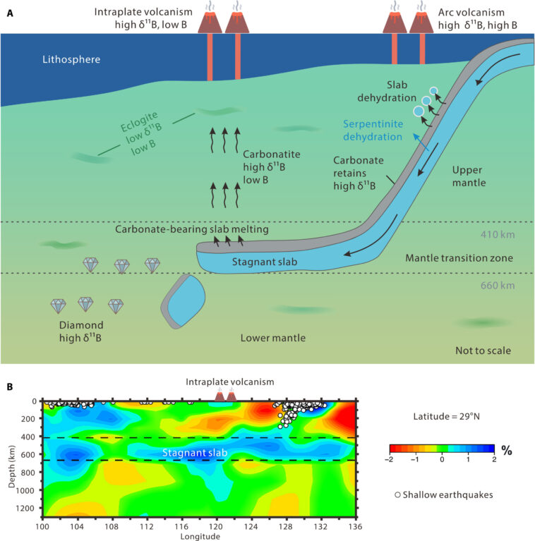 Les scientifiques découvrent que les carbonates de surface peuvent transporter des isotopes de bore lourds dans le manteau profond