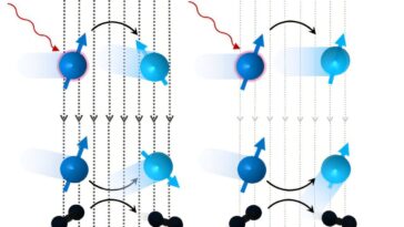 Les scientifiques découvrent une nouvelle façon de garder les tours quantiques cohérents plus longtemps