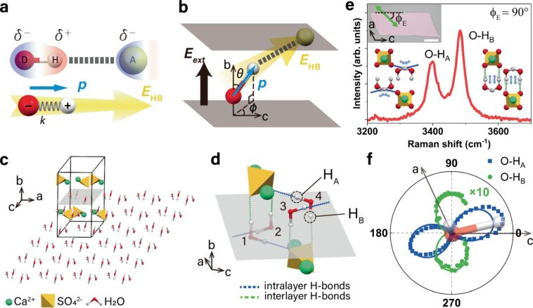 Les scientifiques développent une nouvelle méthode pour mesurer et prédire la résistance aux liaisons hydrogène dans l'eau confinée