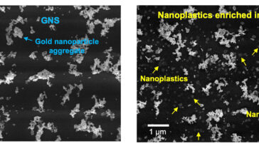 Les scientifiques développent une technique ultraprecise, efficace et flexible pour compter et analyser les nanoplastiques