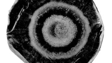 Les scientifiques tracent les origines de la grêle utilisant des empreintes digitales chimiques, renversant les théories vieilles de plusieurs décennies