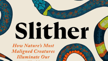 Couverture de livre 'slither' représentant des serpents multicolores jumelés autour de la couverture