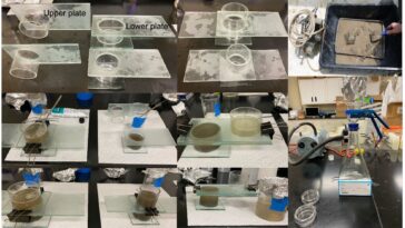 Localiser les points chauds microplastiques le long de la côte du Texas