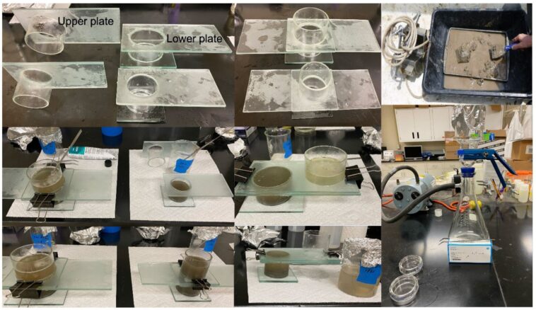 Localiser les points chauds microplastiques le long de la côte du Texas