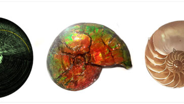 Lumière qui spirale comme une coquille de nautilus