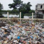 Marine Marine: ce que les plastiques biodégradables peuvent faire pour résoudre le problème