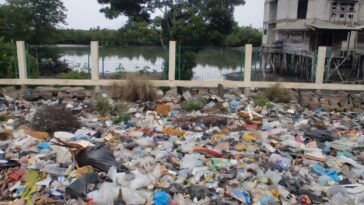 Marine Marine: ce que les plastiques biodégradables peuvent faire pour résoudre le problème