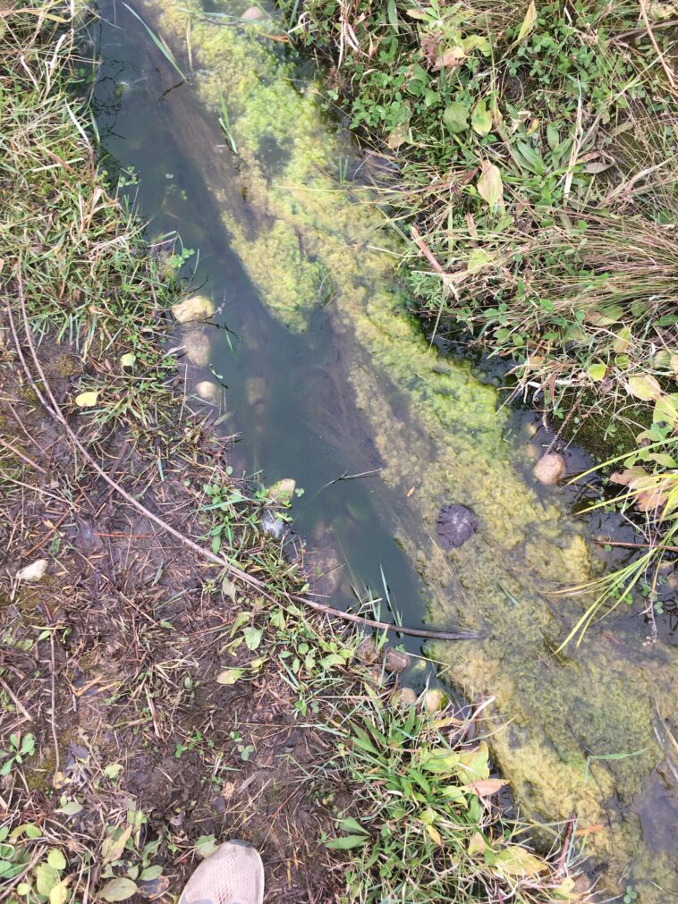 Microplastiques: Qu'est-ce qui piége la menace émergente dans nos flux? Microplastiques: Qu'est-ce qui piége la menace émergente dans nos flux?