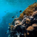 Monde sur la bonne voie pour déclencher plusieurs «points de basculement» de plusieurs climats à moins que l'action ne s'accélère, la recherche prévient Monde sur la bonne voie pour déclencher plusieurs «points de basculement» de plusieurs climats à moins que l'action ne s'accélère, la recherche prévient