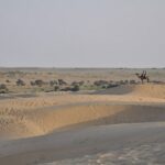 Moussons et pompage des eaux souterraines: comment le changement climatique et les interventions humaines entraînent l'écologisation du désert de Thar Moussons et pompage des eaux souterraines: comment le changement climatique et les interventions humaines entraînent l'écologisation du désert de Thar