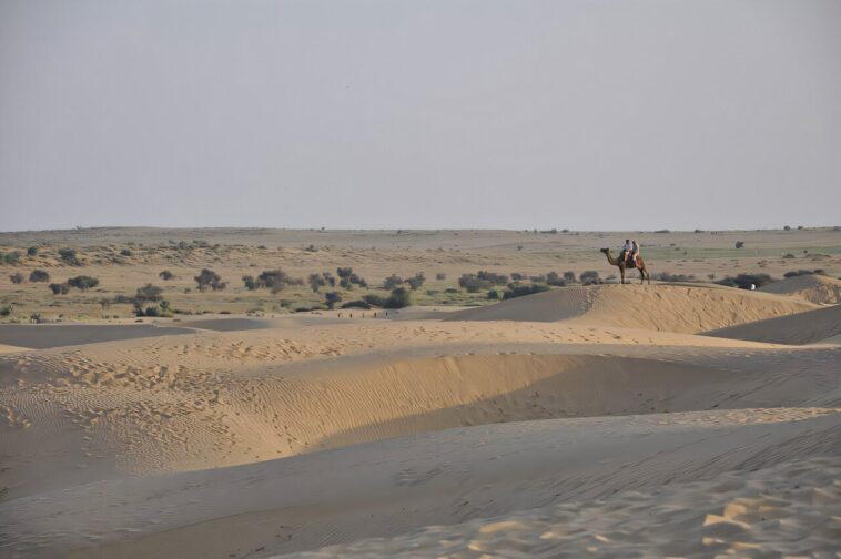 Moussons et pompage des eaux souterraines: comment le changement climatique et les interventions humaines entraînent l'écologisation du désert de Thar