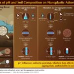 Nanoplastiques dans le sol: comment le type de sol et le pH influencent la mobilité