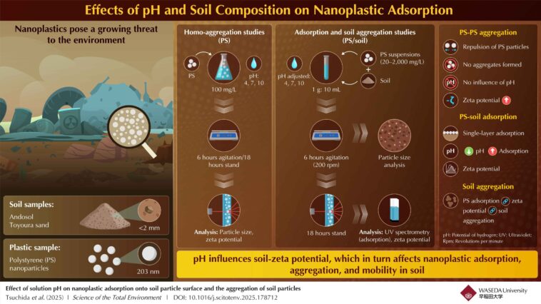 Nanoplastiques dans le sol: comment le type de sol et le pH influencent la mobilité