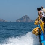 Nature positive: beaucoup de rhétorique, peu de réalité