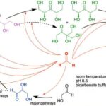 Origine de vie Twist: une nouvelle étude remet en question une hypothèse de longue date sur la façon dont les premiers sucres se sont formés Origine de vie Twist: une nouvelle étude remet en question une hypothèse de longue date sur la façon dont les premiers sucres se sont formés