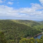 Pertes invisibles: des milliers d'espèces végétales sont absents dans des endroits où ils pourraient prospérer - les humains sont la raison