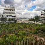 Plantation d'arbres provisoires «décennies en retard» chez Athènes étouffants Plantation d'arbres provisoires «décennies en retard» chez Athènes étouffants
