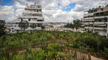 Plantation d'arbres provisoires «décennies en retard» chez Athènes étouffants