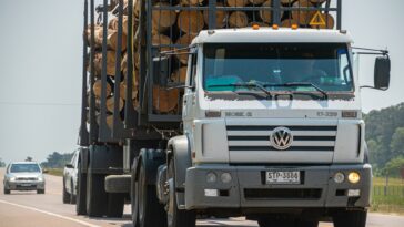 Plus de connexion dans les forêts nationales de Géorgie? C'est possible sous une nouvelle directive