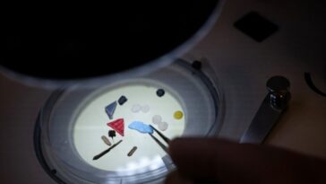 Pollution microplastique `` alarmante '' dans les grandes rivières d'Europe