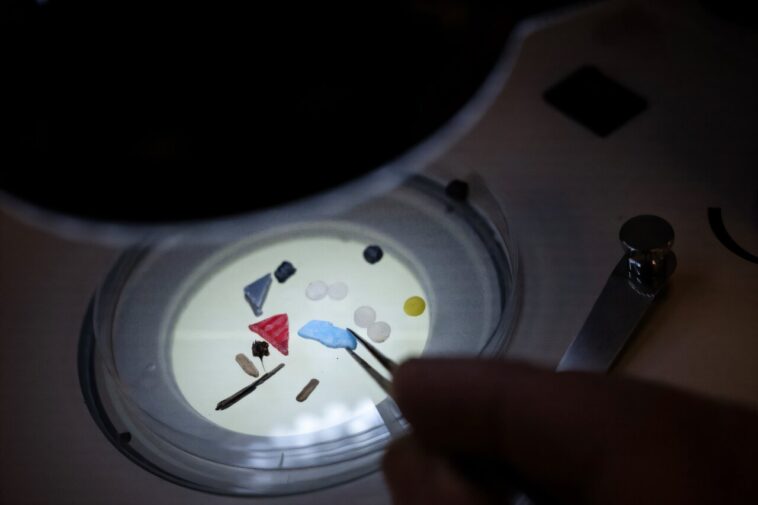 Pollution microplastique `` alarmante '' dans les grandes rivières d'Europe