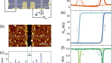 Première observation de la traînée de Coulomb non cerveau dans les isolateurs de Chern a rapporté
