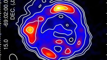 Propriétés de Supernova Remnant dans la galaxie voisine explorée dans l'étude du continuum radio