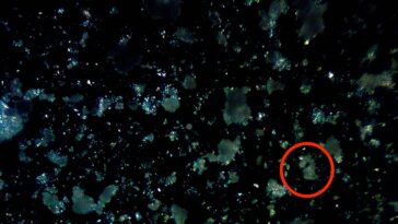 Q&R: Les scientifiques découvrent le processus derrière la perte de fragments dangereux du plastique