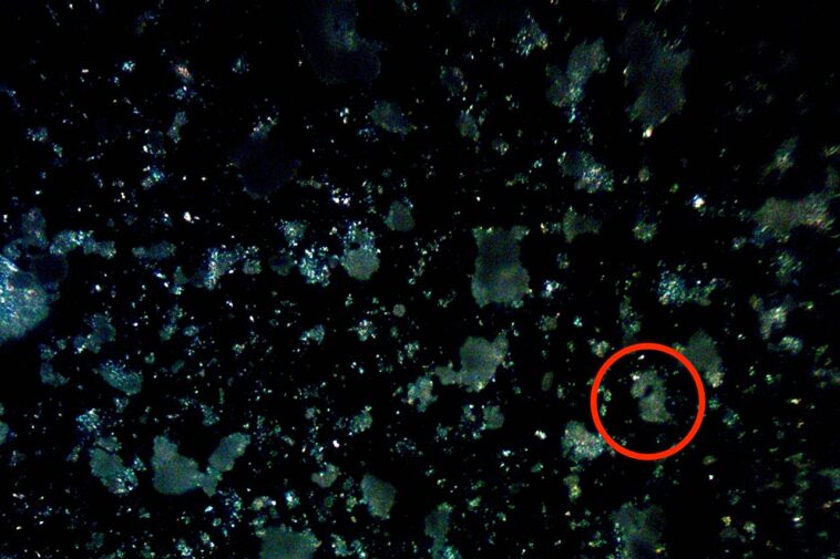 Q&R: Les scientifiques découvrent le processus derrière la perte de fragments dangereux du plastique