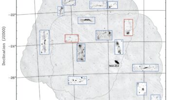 Quinze nouvelles galaxies de radio géantes découvertes avec ASKAP
