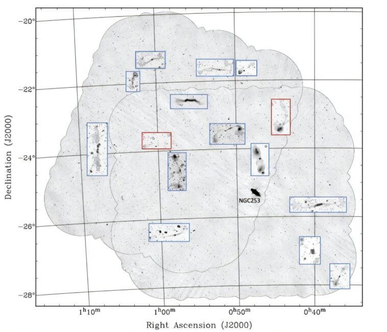 Quinze nouvelles galaxies de radio géantes découvertes avec ASKAP