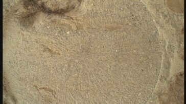 Recherche de l'obscurité dans la lumière sur Mars