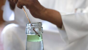 Saudi 'City of Roses' offre un rappel parfumé de la beauté du désert