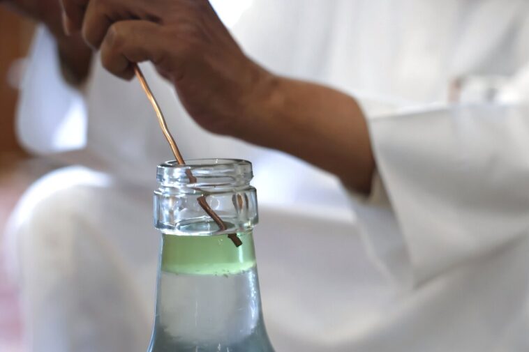 Saudi 'City of Roses' offre un rappel parfumé de la beauté du désert