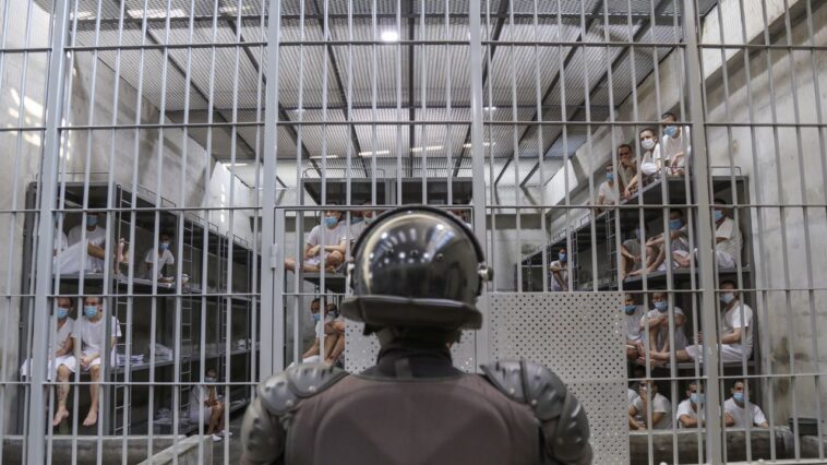 Trump dit qu'il "aimerait" pour expulser les citoyens américains vers El Salvador Goulags si c'est légal