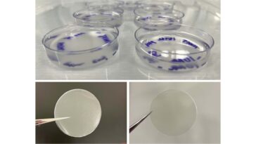 Un pas vers la gélatine à base de plantes: le tragacanth de gomme est prometteur pour réduire l'utilisation animale