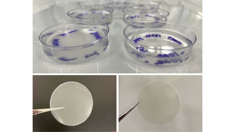 Un pas vers la gélatine à base de plantes: le tragacanth de gomme est prometteur pour réduire l'utilisation animale