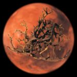 Un pas vers la vie sur Mars? Les lichens survivent à la simulation martienne dans une nouvelle étude