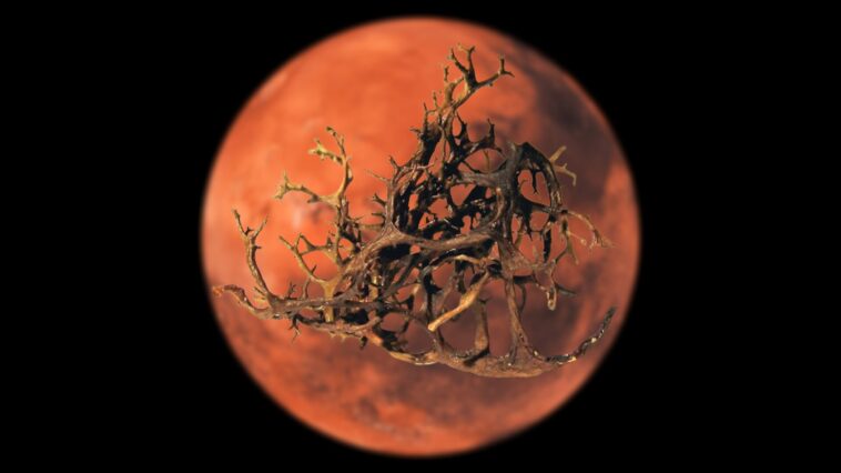 Un pas vers la vie sur Mars? Les lichens survivent à la simulation martienne dans une nouvelle étude